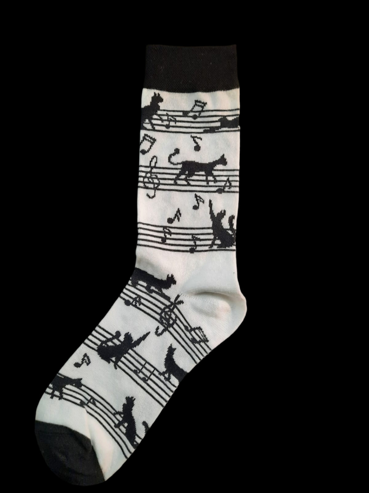 Music Socks - Collection